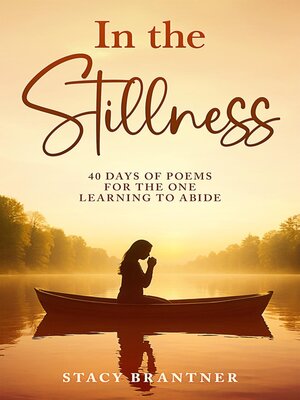cover image of In the Stillness